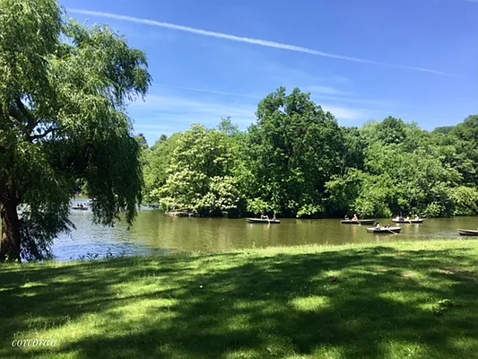 Sold by Corcoran | media 17