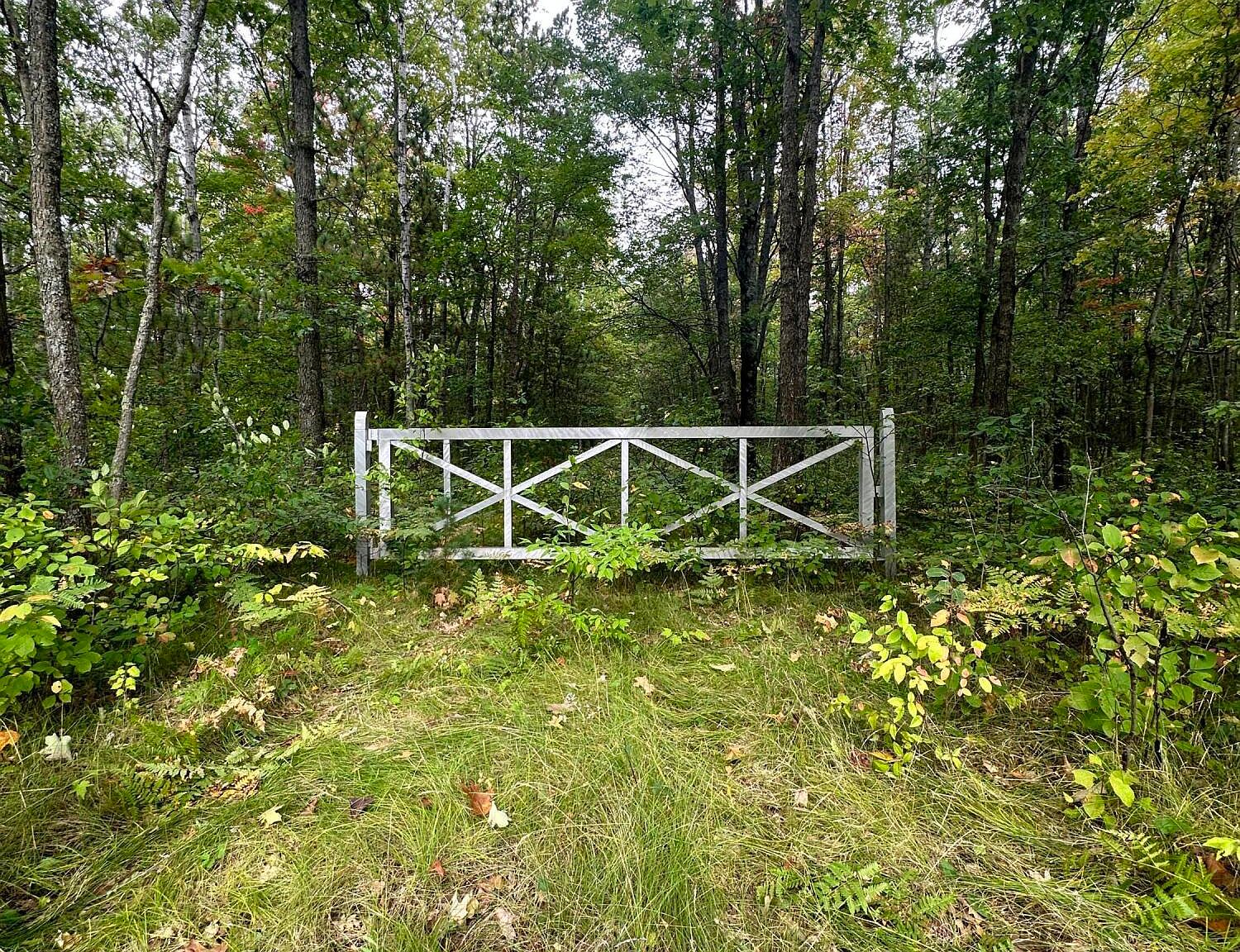 21594 Hoxeyville Rd, Wellston, MI 49689 Zillow