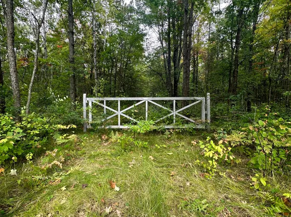 21594 Hoxeyville Rd, Wellston, MI 49689