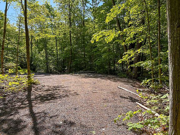 4th image of 1066 S Muldrew Lake Rd
