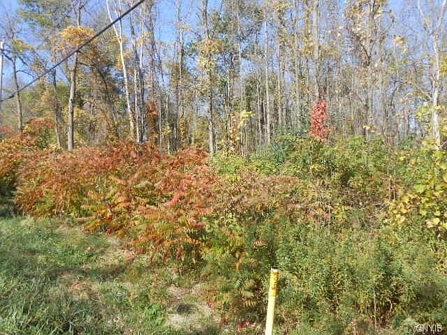 2nd image of 2716 Burlingame Rd