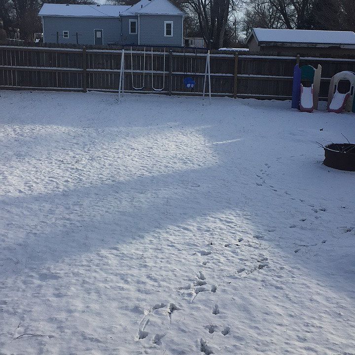 Large fenced in backyard