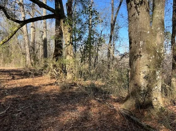 55AC Cool Springs Rd, Opp, AL 36467