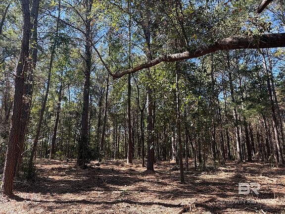 4th image of LOT 2 Rockaway Creek Rd