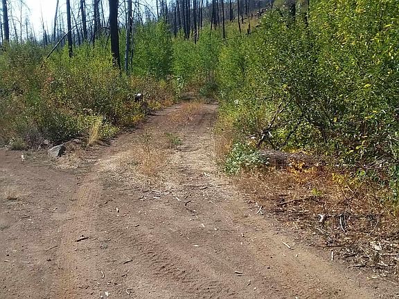 5th image of W Knox Creek Dr