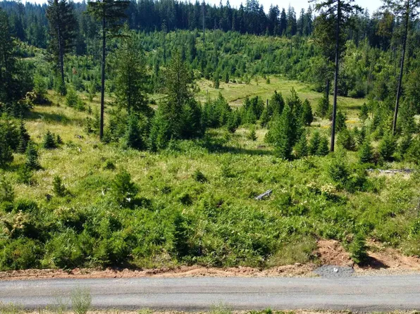 8 Peaceful Valley Rd, Kamiah, ID 83536