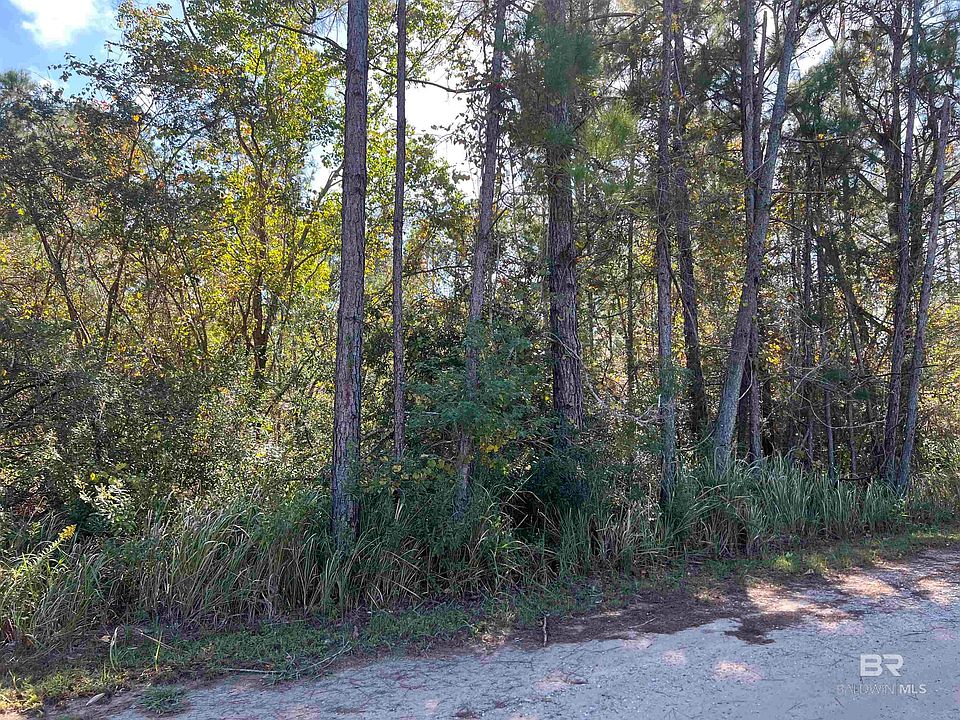 2nd image of Robinson Ln
