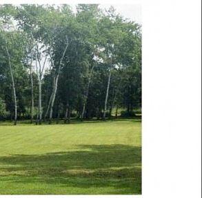 2nd image of Lot 99 River Road