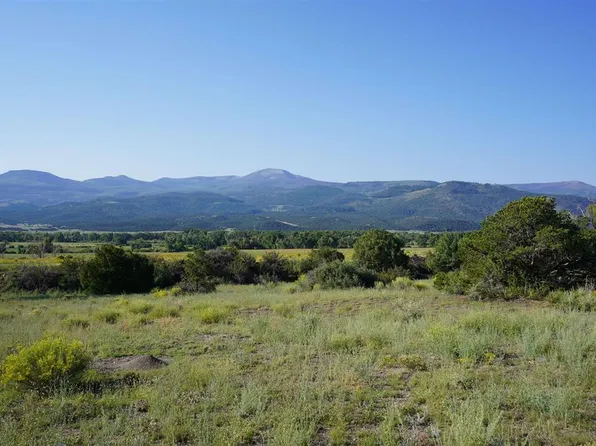 720 E Pfieffer Loop, South Fork, CO 81154