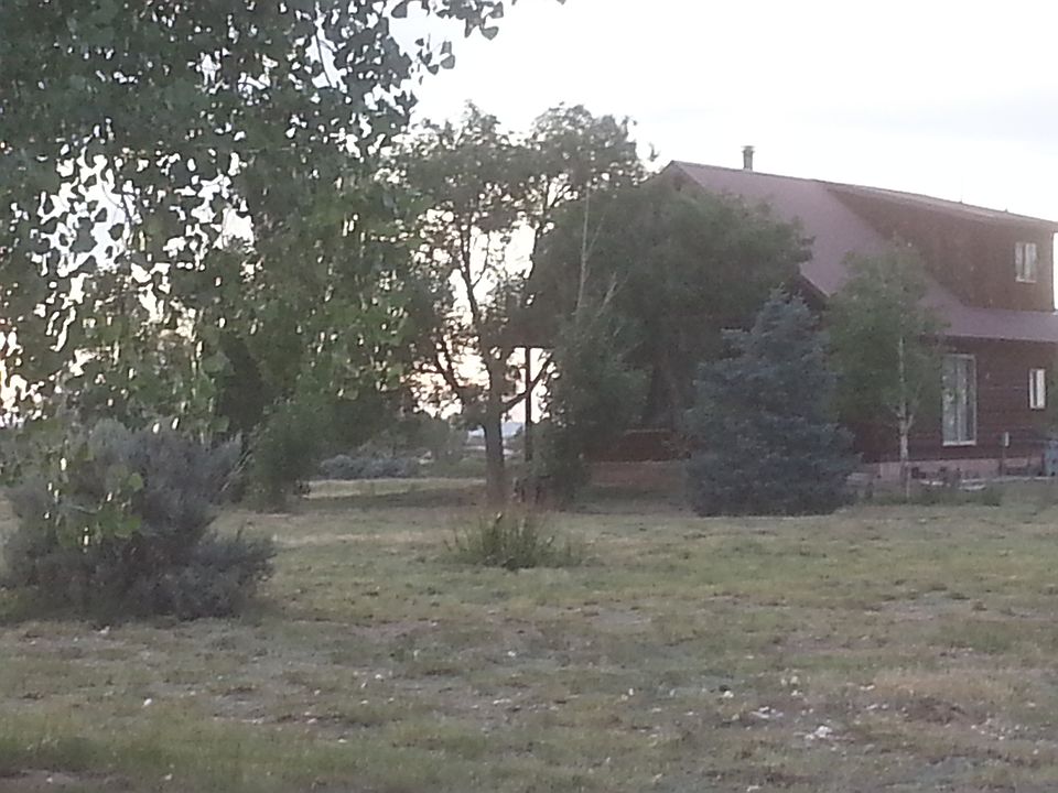 Log Home on 20 Acres