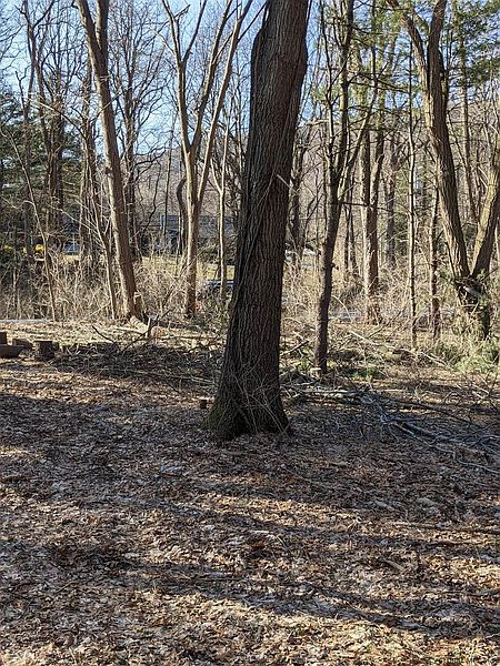 2nd image of 0 ALTAMONT Road