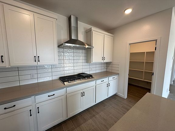 4th image of 27018 N 168th Ln