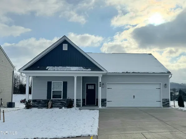 80 Ollie St, Johnson City, TN 37615