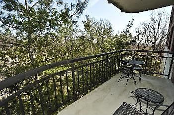 3rd image of 616 S Orange Ave APT 2J