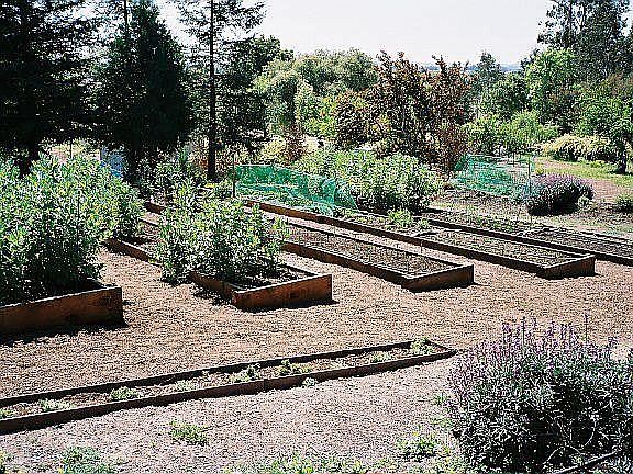 Kitchen Gardens