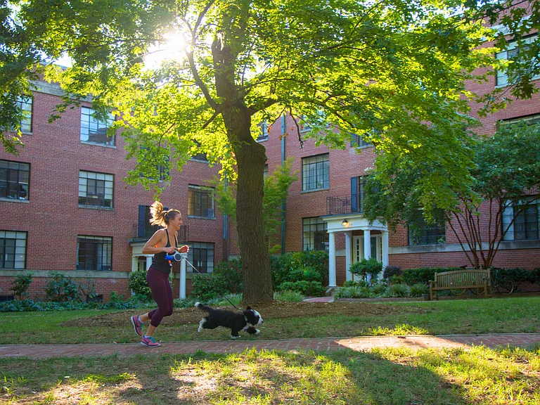 Cameron Court Apartments — Photo 40