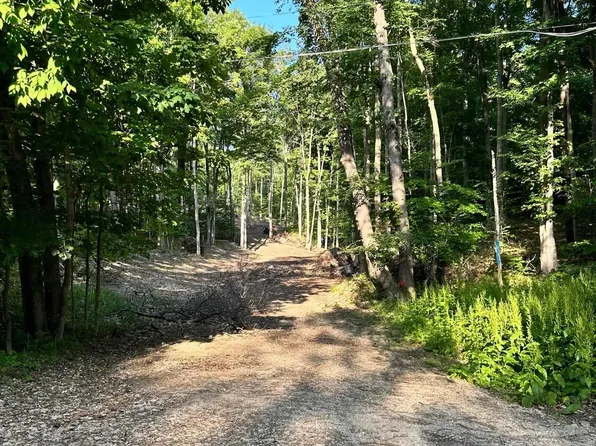 S Lime Lake Rd, Cedar, MI 49621