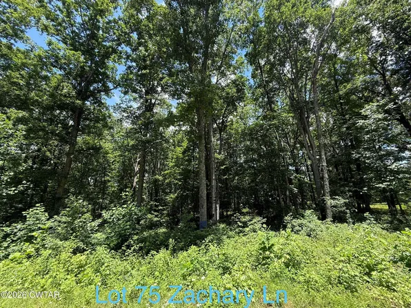 0 Zachary Ln, Camden, TN 38320