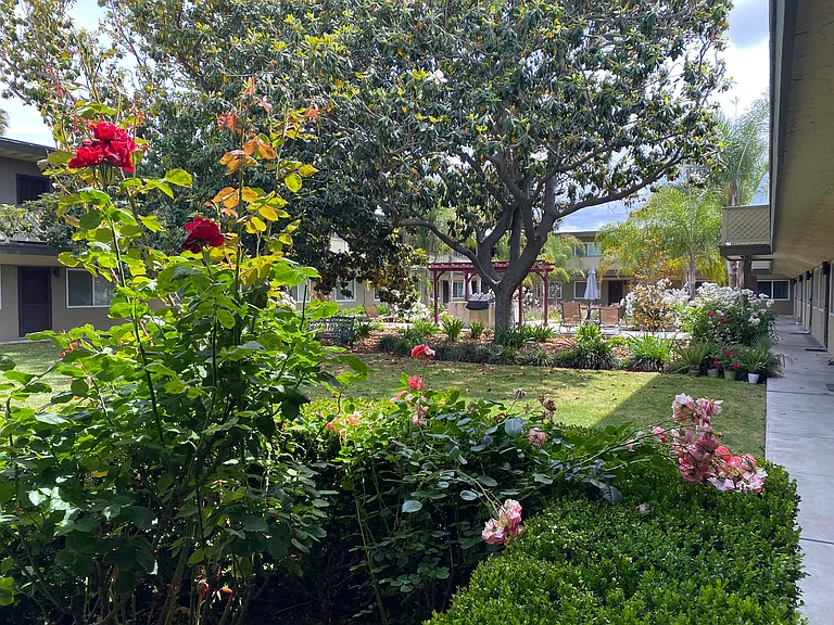 Maude Gardens — Photo 20