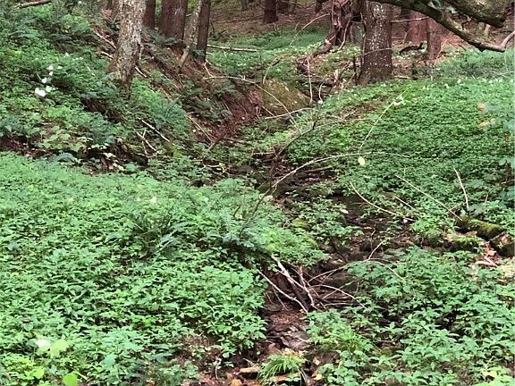2nd image of TBD Old Hwy 16
