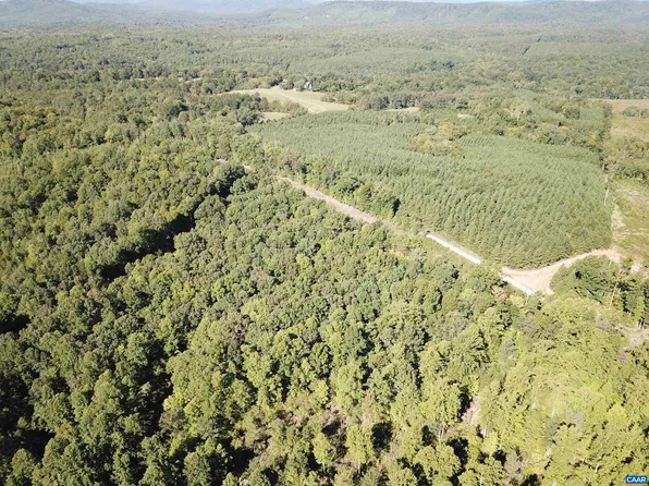 Sharon Rd, Esmont, VA 22937