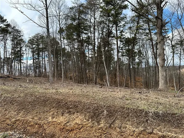 0 Fisher Ridge Rd Tract 2, Fleming, OH 45729