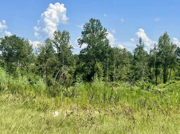 0 County Road 8, Stringer, MS 39481