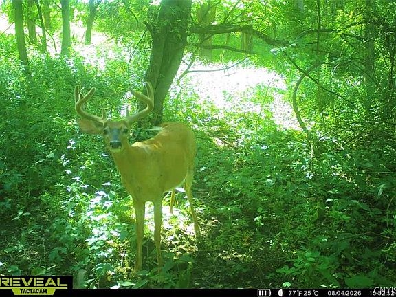 3rd image of Dye Rd
