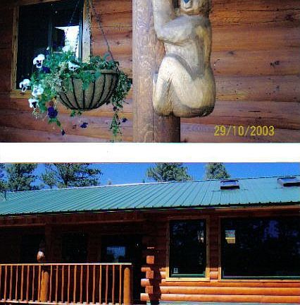 Bear Guard, front,; back vie