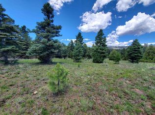 LOT-13D Rito Hondo Ct, Antonito, CO 81120