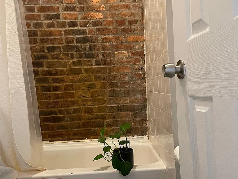 71 Pineapple St #D3 — Photo 9