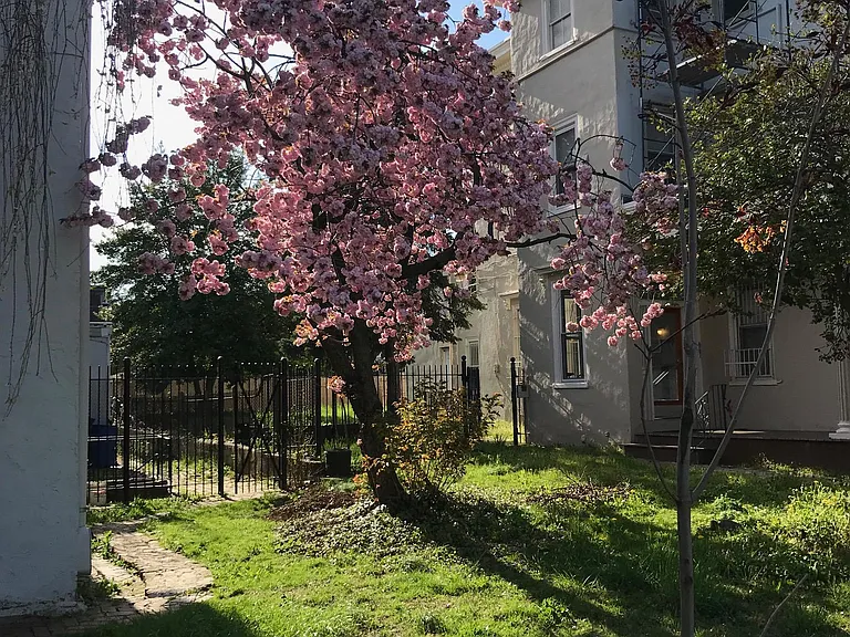 512 S 41st St #9 — Photo 90