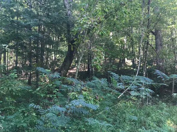 0 Hardscrabble Rd, Mineral Bluff, GA 30559