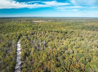 0 Cedar Dr, Steelville, MO 65565