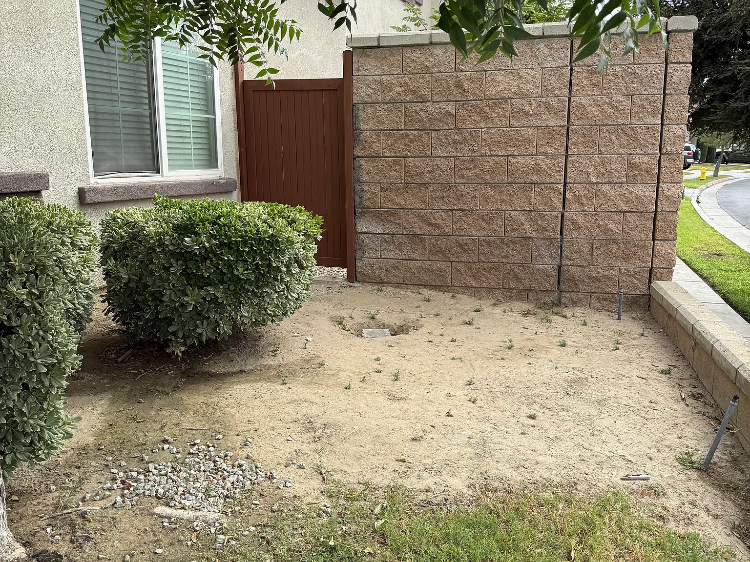 1 bed, 1000 sqft, $1,800 — Photo 2