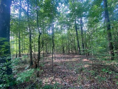 0 Windwood Dr, Lanett, AL, 36863