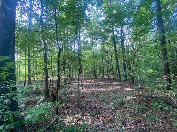 0 Windwood Dr, Lanett, AL 36863