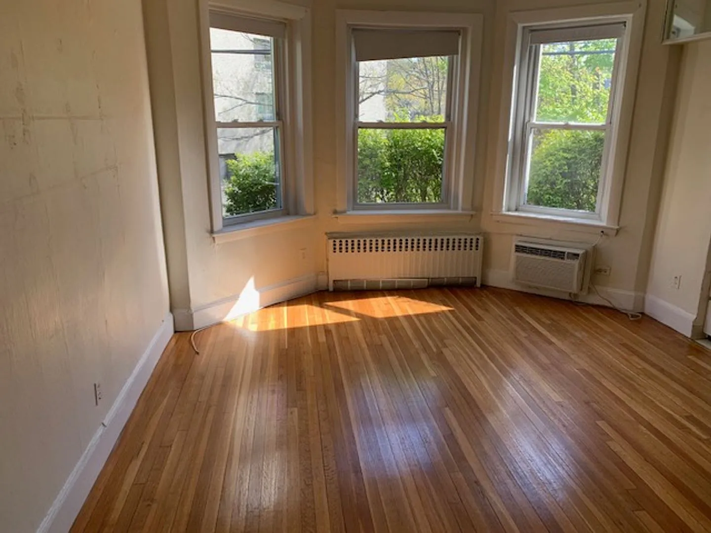 Spacious Brookline Single Available 9/1/2026 — Photo 2
