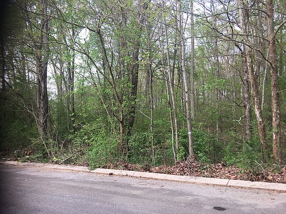 4th image of 0 County Road 1120
