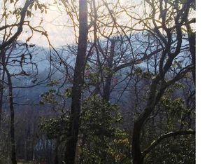 3 Woodlilly Trl, Arden, NC 28704