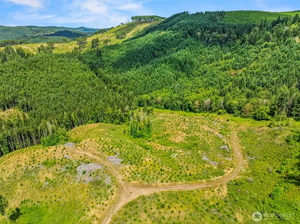 0 Lot E Holcomb Road, Kelso, WA 98626