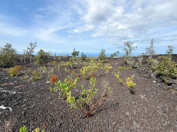 92-8911 Lehua Ln Lot 26, Captain Cook, HI 96704