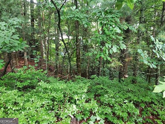 3rd image of LOT Three Jiminy Peak