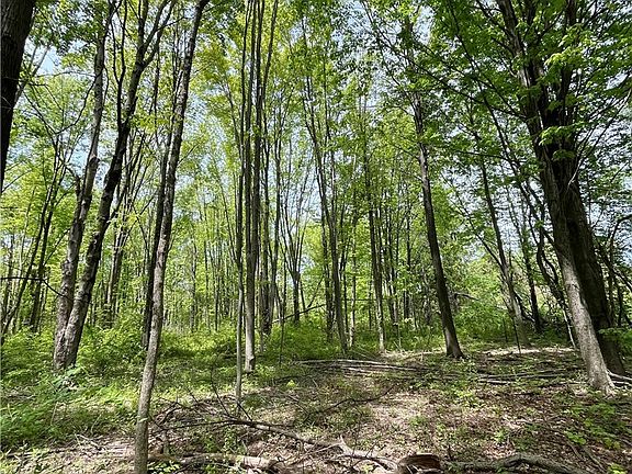 2nd image of Bates Rd