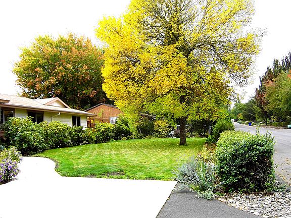 frontyard
