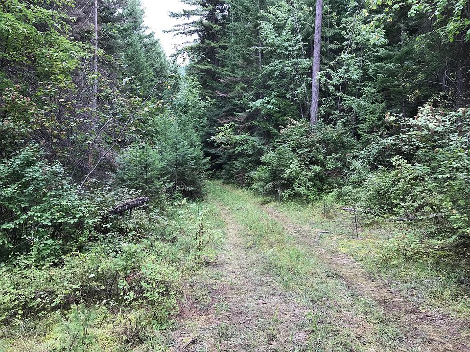 2nd image of Nhn Wapiti Point Rd