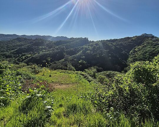 4th image of 2300 Corsham Rd