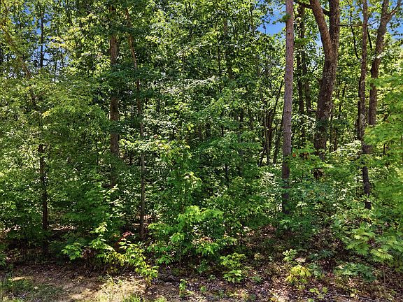 4th image of 8354 Bear Paw Trl #113