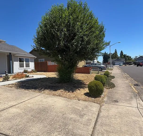 34 Honer Loop — Photo 23
