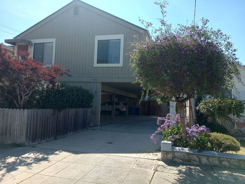 1st image of 1290 5th St #2